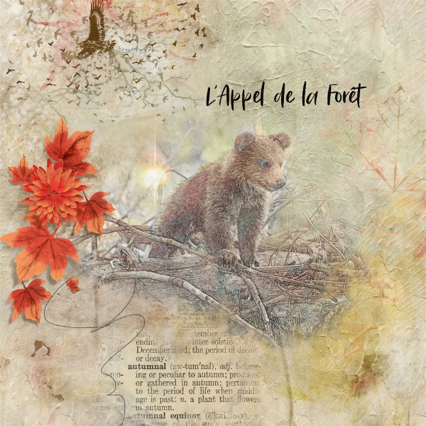 Un appel de la Forêt