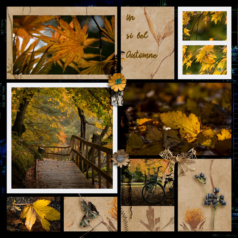 Un si bel Automne