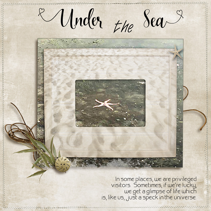 Under-the-sea-starfish-photo-aug-ch