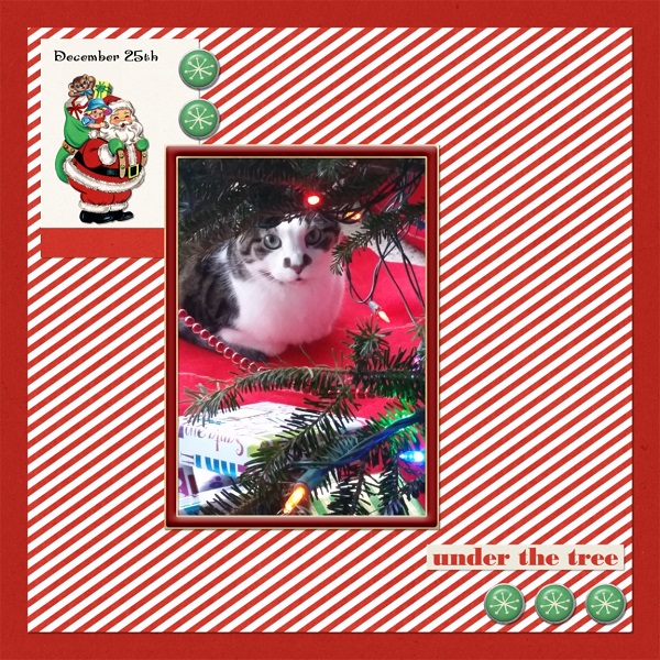 Under The Tree MOC6-Day1