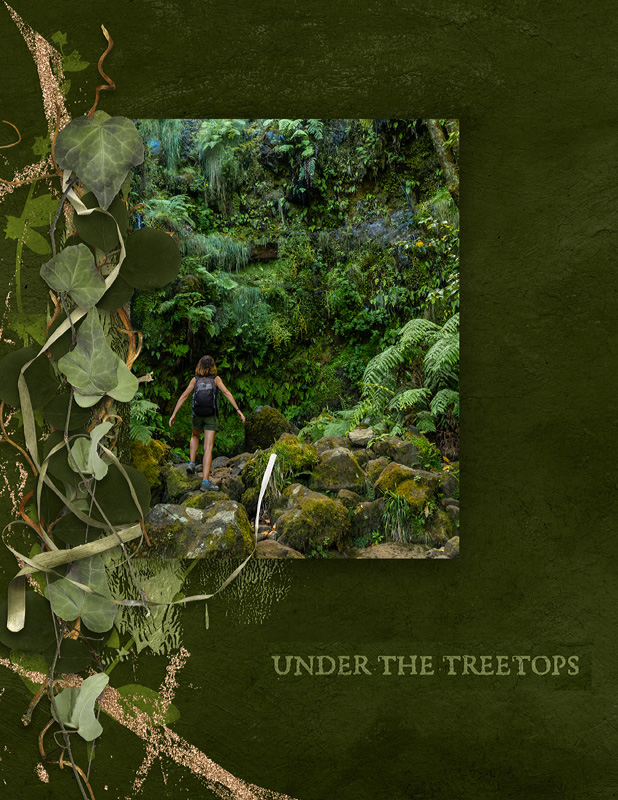 Under The Treetops