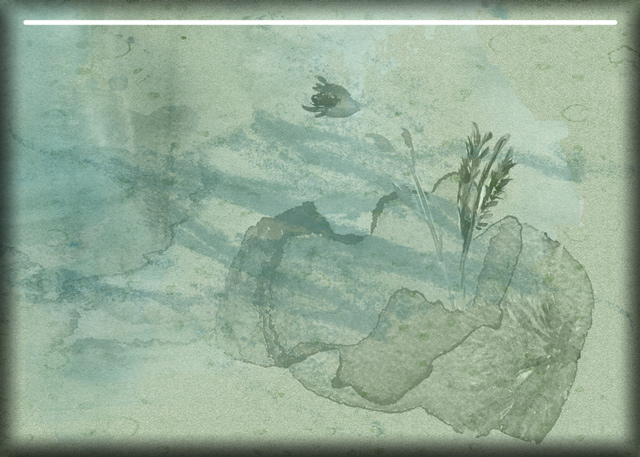 Unobtrusive-Background