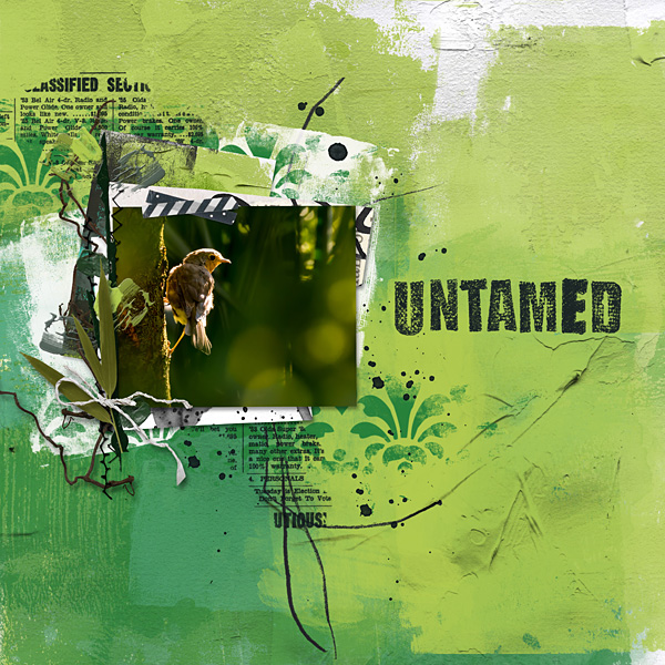 Untamed