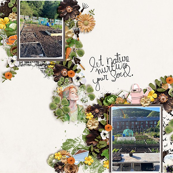 Up and Down the Allotment
