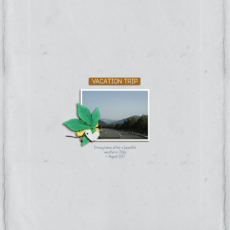 Vacation trip