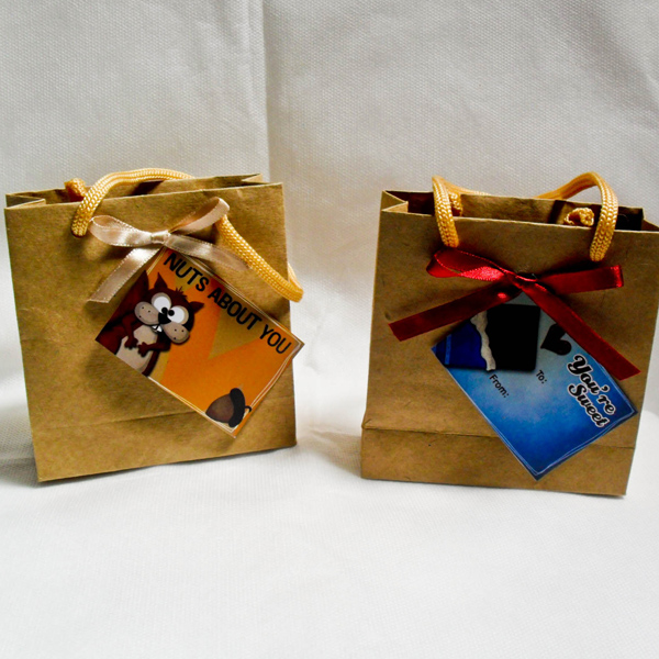 valentines bag