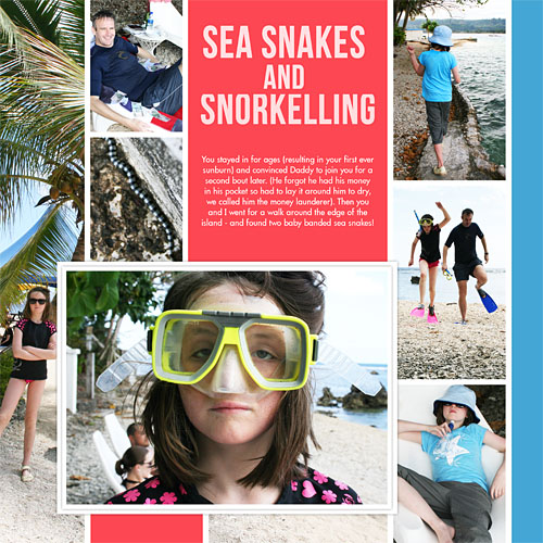 Vanuatu sea snakes