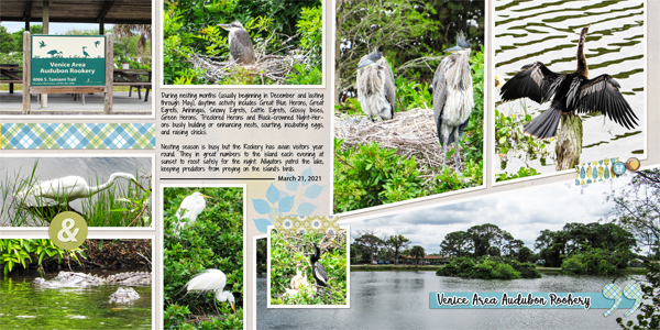 Venice Rookery