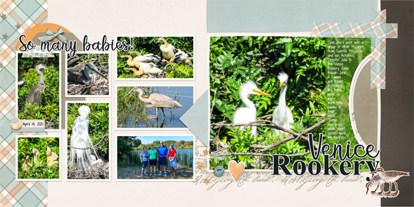Venice Rookery