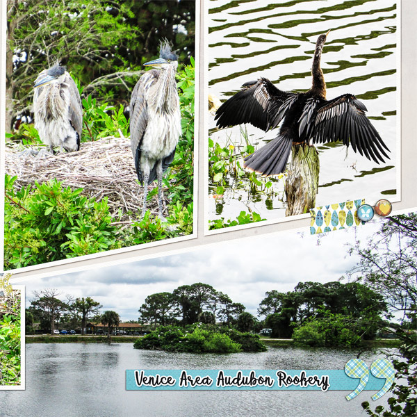 Venice Rookery_right