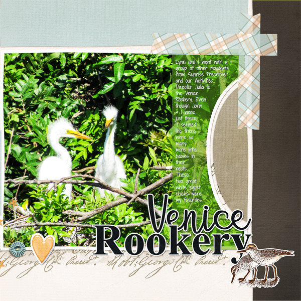 Venice Rookery_right