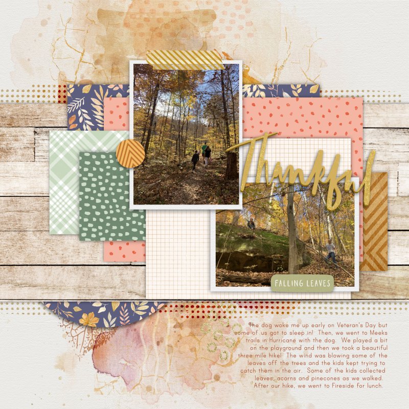 Veteran's Day Hike - Right