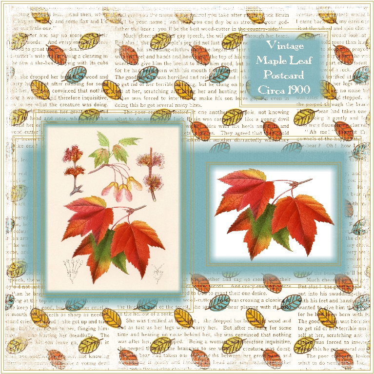 Vintage Maple Leaf...