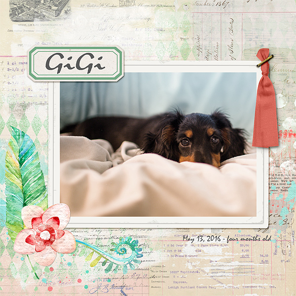 Vintage Puppy