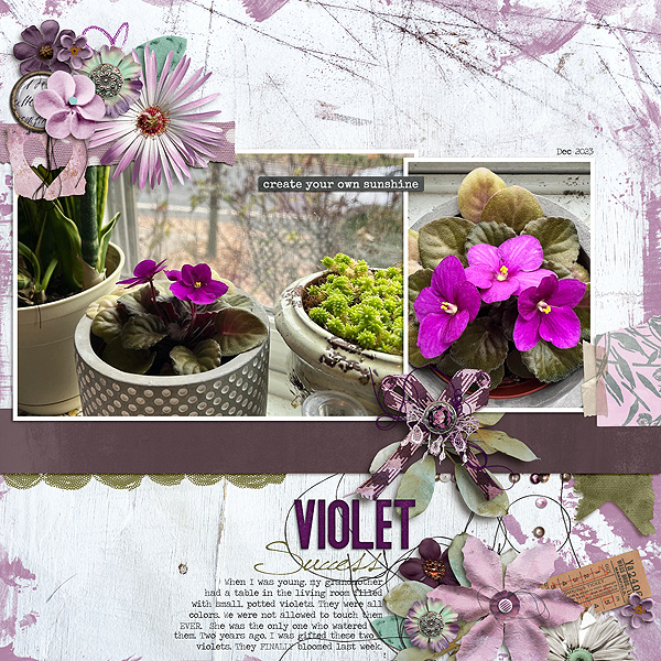 Violet-Success