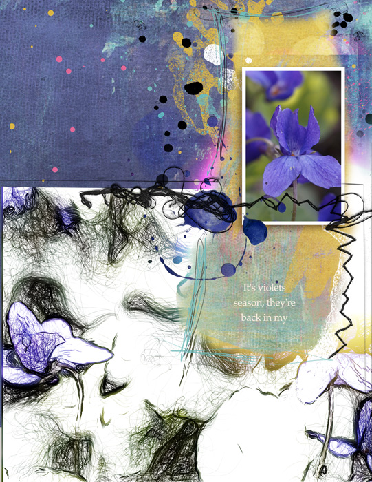 Violettes