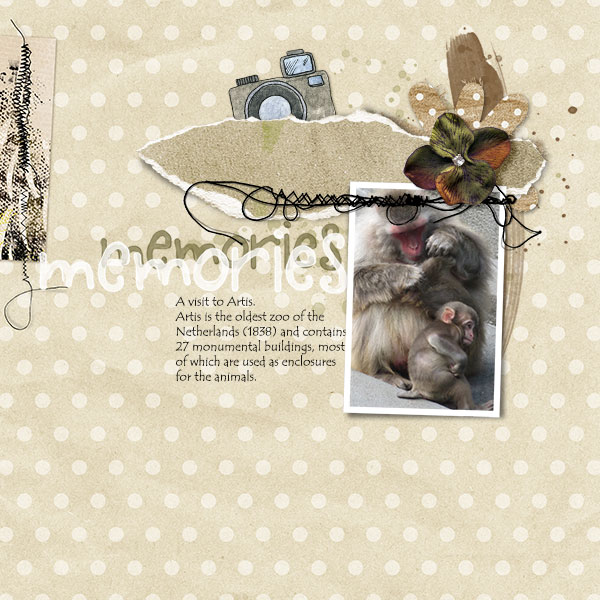 Visit-Artis