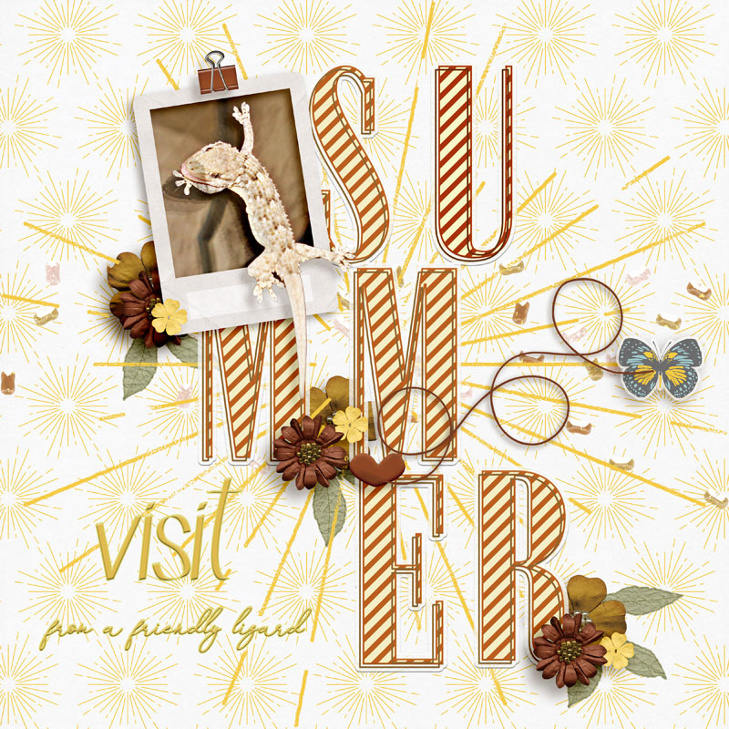 Visit
