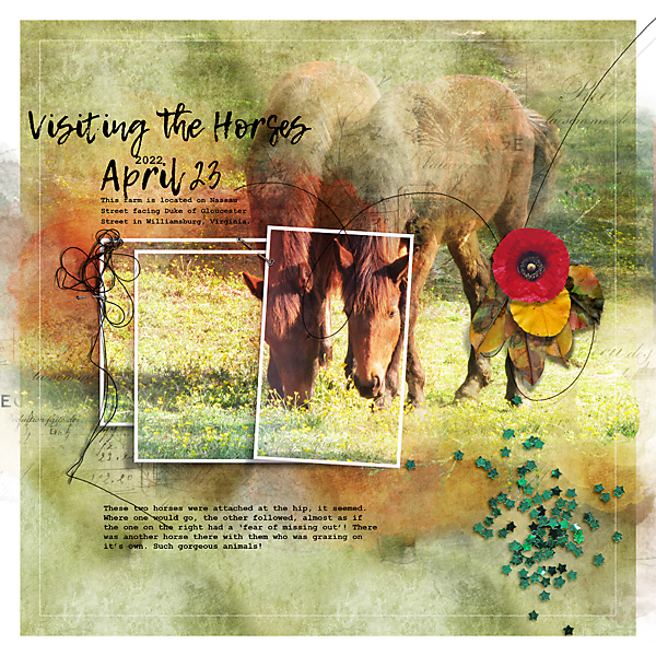 Visiting the Horses