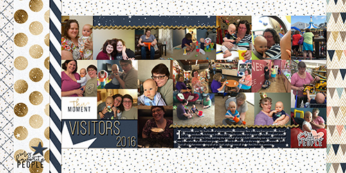 Visitors2016