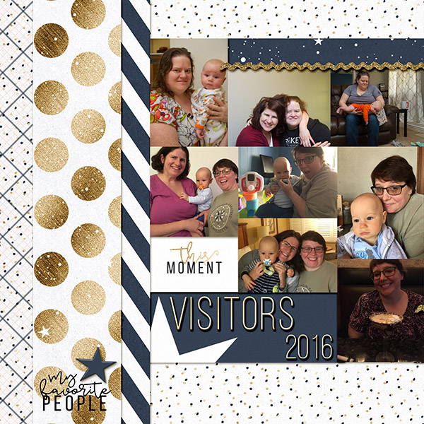 Visitors2016A