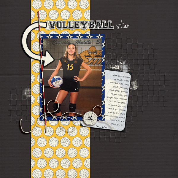 Volleyball-Star