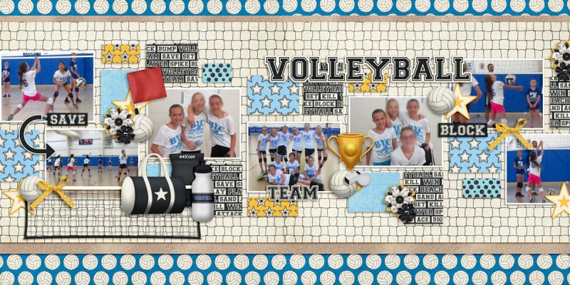 Volleyball
