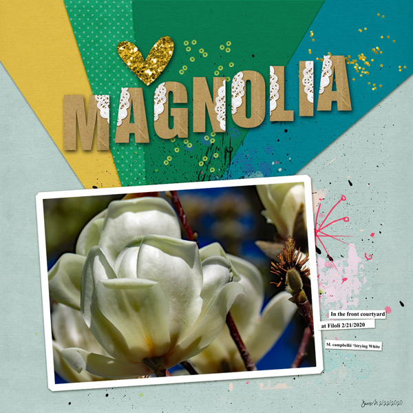 VW_magnolia
