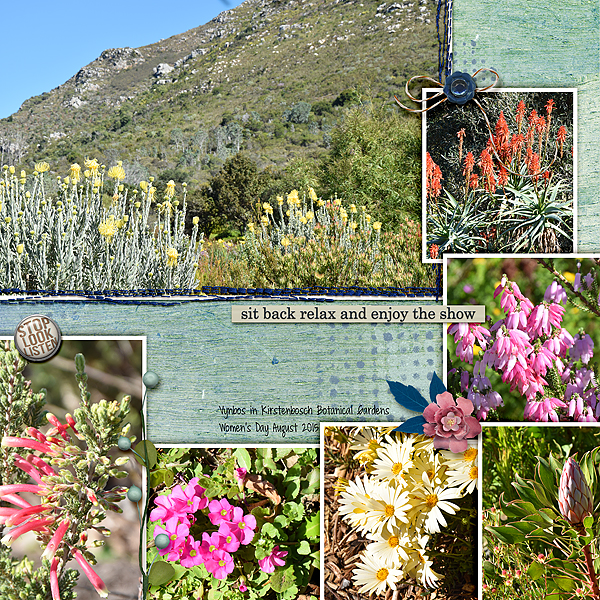 Vynbos