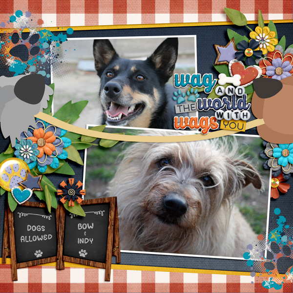 Wag and the whole world wags with you
