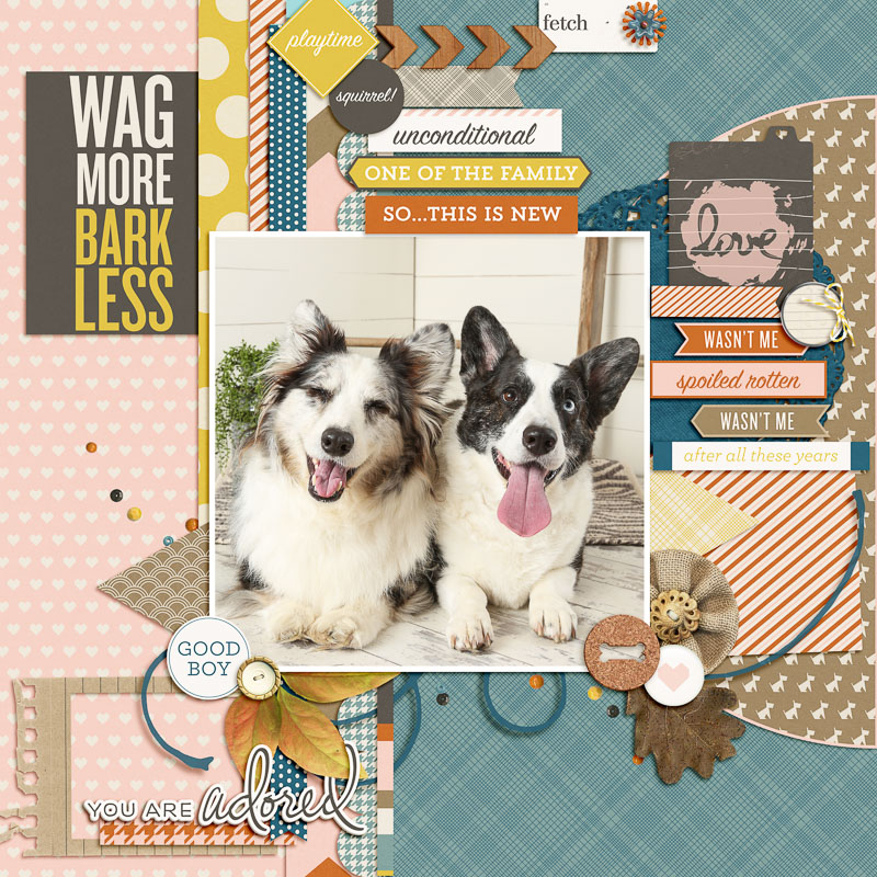 Wag More Bark Less