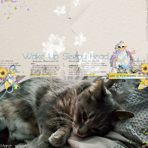 Wake Up Sleepy Head