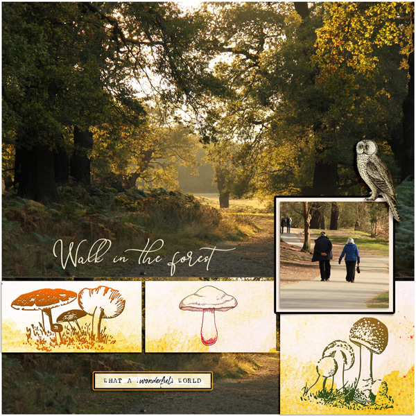 Walk in the forest