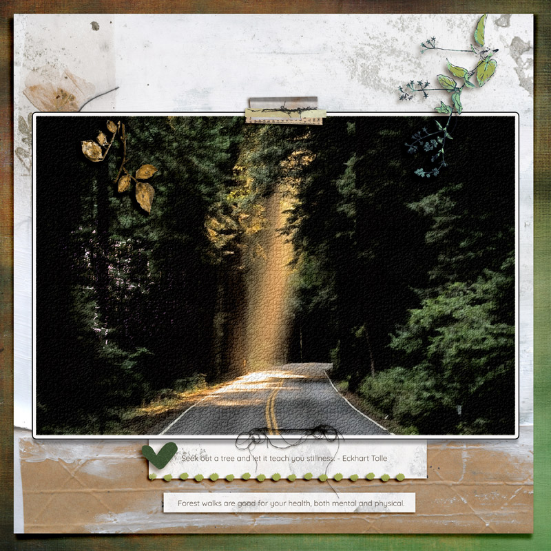 walk in the forest
