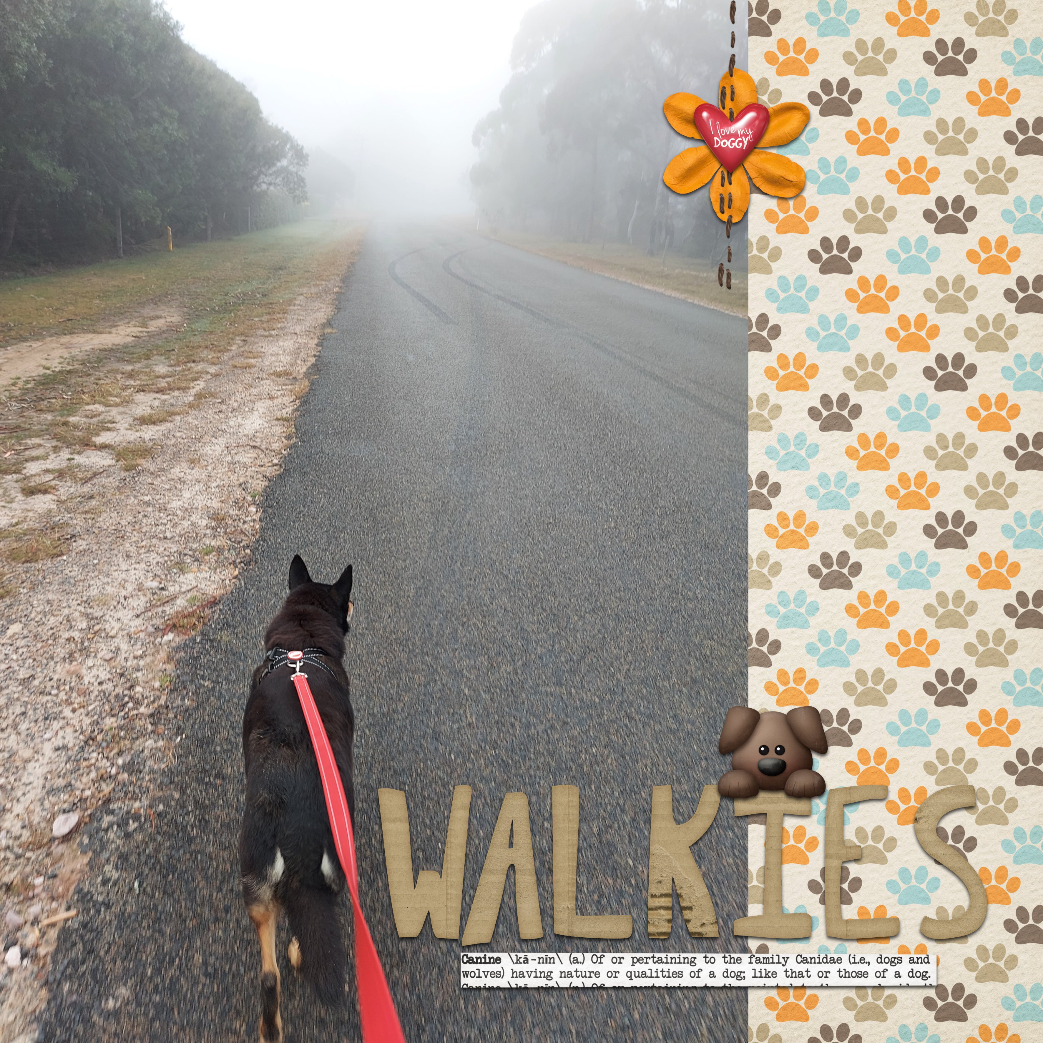 walkies