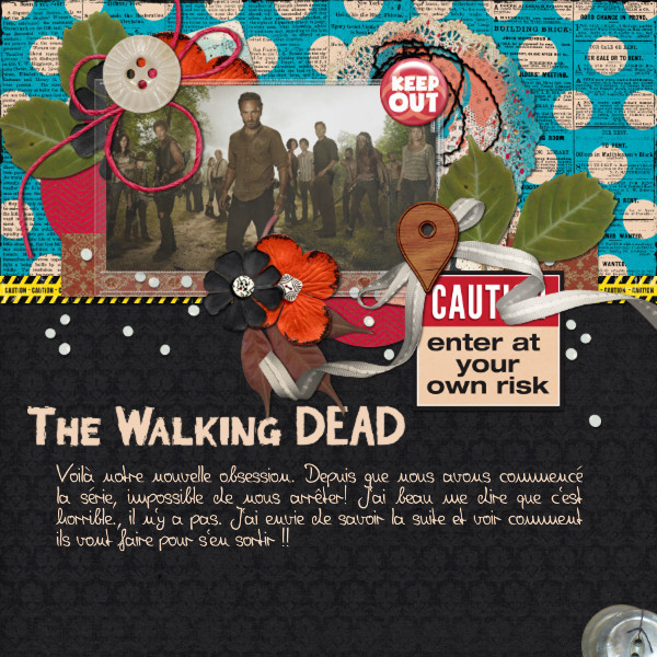 Walkind Dead Obsession