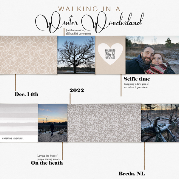 Walking In Winter A Wonderland