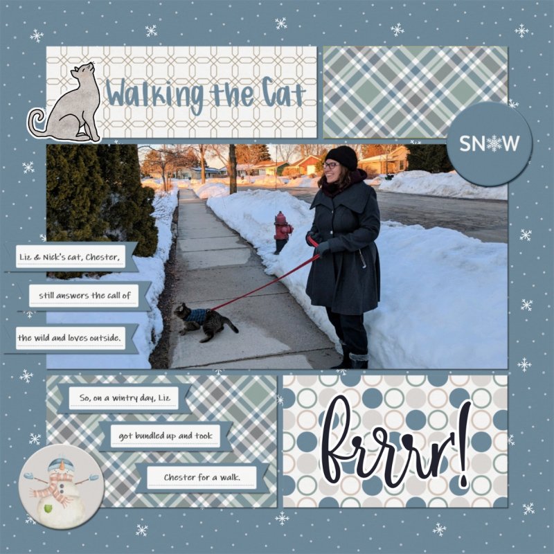 Walking The Cat