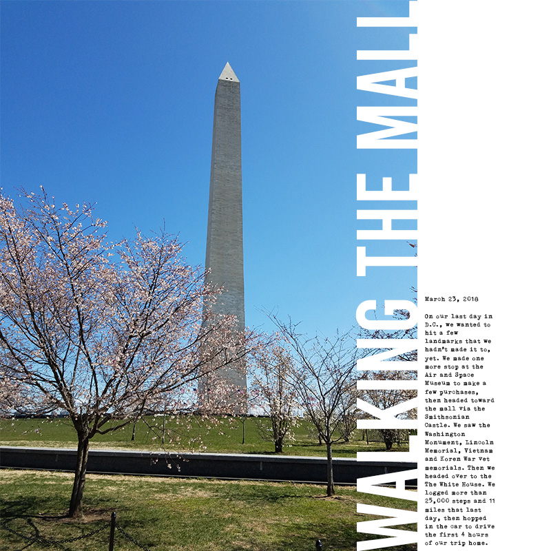 Walking the Mall
