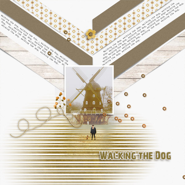 Walking with the Dog