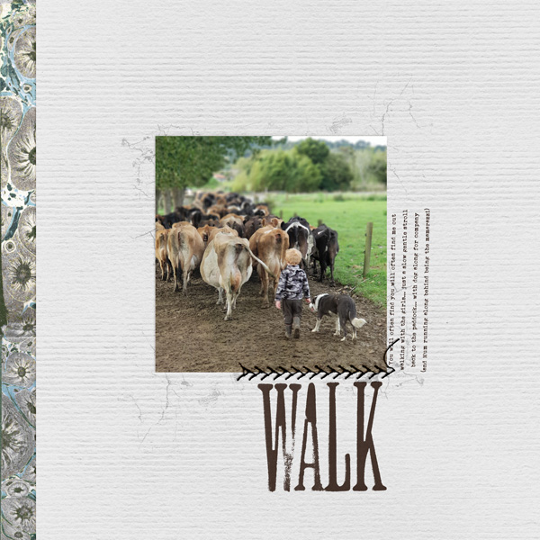 Walking With The Girls
