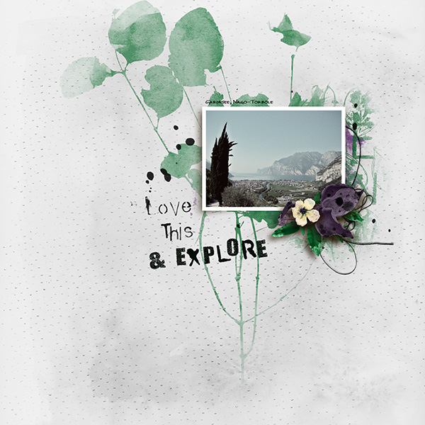 Wander And Explore