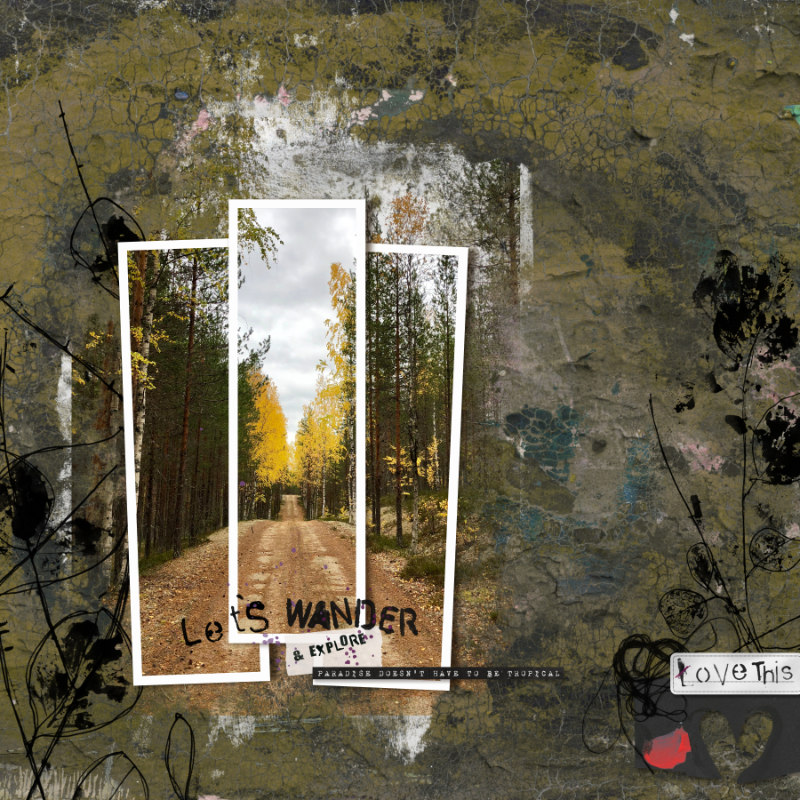 Wander and Explore