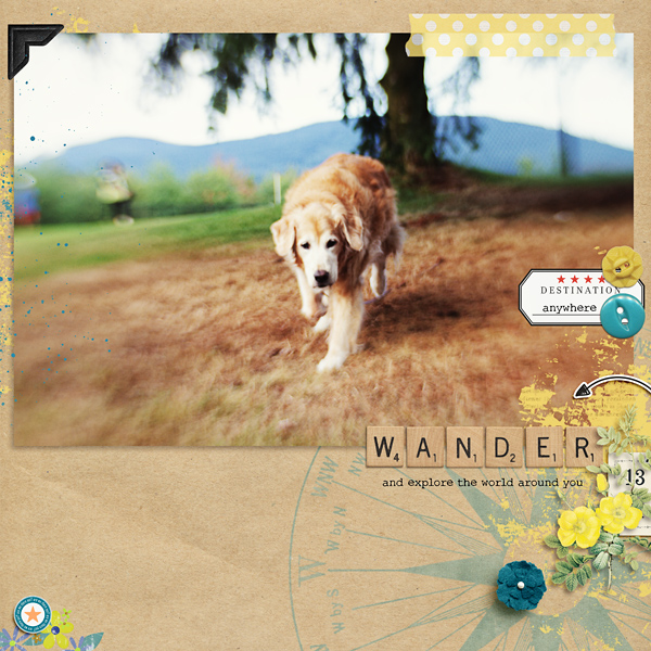 Wander