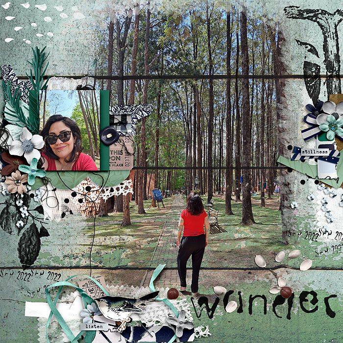Wander