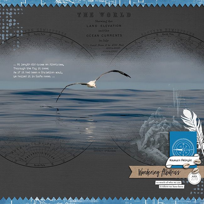 Wandering Albatross