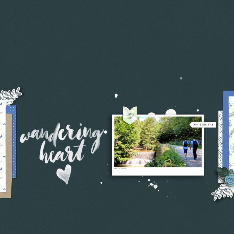 Wandering Heart