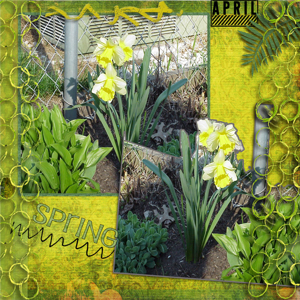 want spring