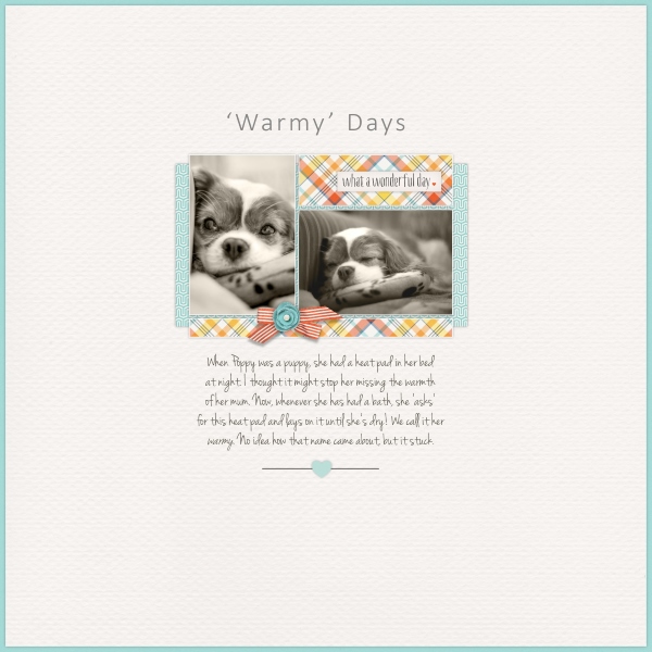 Warmy