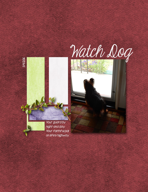 Watch-Dog